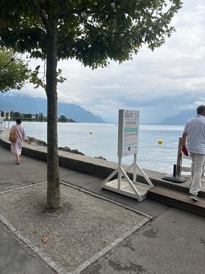 The image captures a lakeside promenade in Vevey, Switzerland, along Lake Geneva (Lac Léman), under an overcast sky. In the foreground, a large deciduous tree with green leaves and suspended string lights anchors a gravel patch within the paved walkway. A low stone retaining wall separates the promenade from the calm lake surface.

Two individuals are visible, walking away from the camera. On the left, a female wearing a light-colored, possibly patterned, long dress and red sandals carries a light brown, fringed shoulder bag. On the right, a male in a white short-sleeved shirt and white trousers holds a red object in his right hand.

Centrally positioned, a white, rectangular informational sign mounted on a wooden A-frame stand faces the viewer. The sign features "DOLCE RIVIERA" at the top, "BIENVENUE" (Welcome) prominently below it, and a series of pictograms, including prohibitions. Two yellow spherical buoys are visible floating on the lake surface. Distant mountains rise from the lake on the far side, and scattered buildings line the distant shoreline. A wooden slatted bench is partially visible to the right of the sign, and white cafe umbrellas or parasols are discernible further down the promenade on the left.