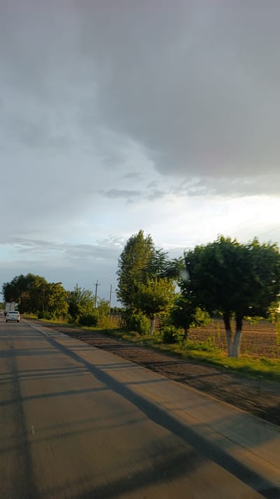 The image shows a road in Iyazbagish, Uzbekistan, with trees lining the side of the road and a field beyond. The sky is cloudy, with some sunlight breaking through. A white car is visible on the road, and there are shadows cast by the trees on the road. The overall scene is one of a rural landscape.