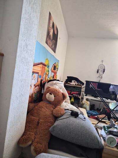 The image depicts a cluttered bedroom. A large, brown teddy bear is seated on a pile of cushions. To the left of the teddy bear is a wall with a textured finish and a colorful mural of a farm scene. To the right, a shelf unit is filled with clothing and other items. A television is visible on a table, and various objects are scattered around the room, including a dreamcatcher hanging on the wall and a small, green clock on a wooden surface. The overall impression is one of a lived-in and somewhat disorganized space. The location is specified as Belfaux, Switzerland.