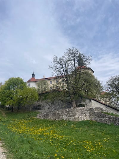 The image shows the town of Škofja Loka, Slovenia. A large, stone wall runs along the right side of the frame, with a field of yellow flowers. The sky is overcast with clouds. The architecture is old and European-style, with a tower visible in the background. A tree is present in the image.