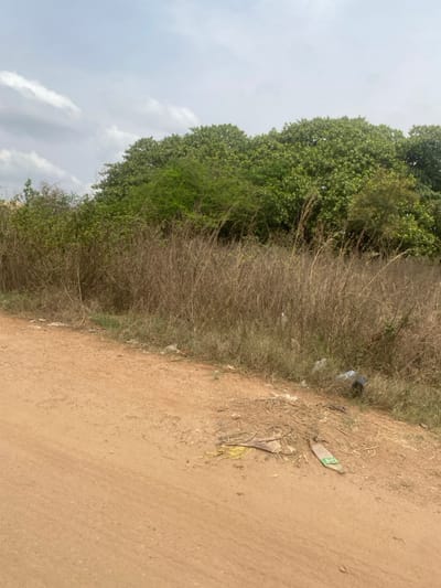 The image displays an unpaved, reddish-brown dirt road occupying the left and lower portions of the frame, extending towards the mid-right. To the right of the road, the immediate terrain transitions into a strip of densely packed, tall, dry brown grass. Interspersed within and behind this dry grass are various green bushes and smaller trees. Beyond this midground vegetation, a solid line of large, verdant green trees forms a dense canopy against the skyline, obscuring any features behind them. The sky is light grey with scattered white clouds, indicating an overcast or partly cloudy day.
Visible objects on the dirt road in the foreground include small branches, dark debris, a yellow smear, and a flattened, light-green plastic bottle. Within the dry grass adjacent to the road, white plastic litter and a dark, box-like object are discernible. No human figures, animals, or active interactions are present in the scene. The overall environment suggests an undeveloped or semi-rural area. This scene is located in the city of Sasaro, Nigeria.