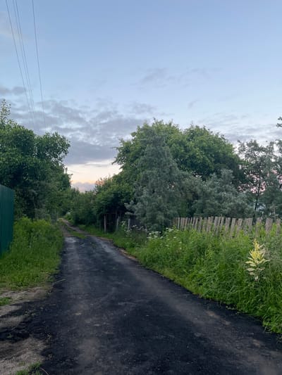 The image depicts a rural dirt road in the village of Klobushnevo, Russia. The road is dark, appearing to be asphalt or compacted dirt, and it curves into the distance, flanked by dense green foliage on both sides. On the left, a tall green metal fence is visible, and on the right, a dilapidated wooden fence with vertical planks borders a patch of wild grass and small white flowers. Several mature trees with lush green leaves line the road, with some appearing to be in the foreground and others further back. In the distance, the sky is a pale blue with scattered clouds, hinting at either early morning or late evening. The overall impression is one of a quiet, undeveloped rural setting.