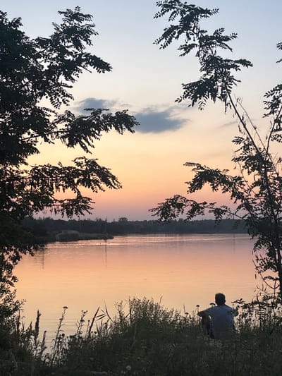 A tranquil scene unfolds at dusk, featuring a body of water reflecting the pastel sky, which transitions from pale blue to peach and gold. Silhouetted trees frame the view, their branches extending into the sky. On the right, a figure sits amidst the vegetation, their gaze directed towards the water. The surrounding foliage is dense, with tall grasses and wildflowers interspersed among the trees.