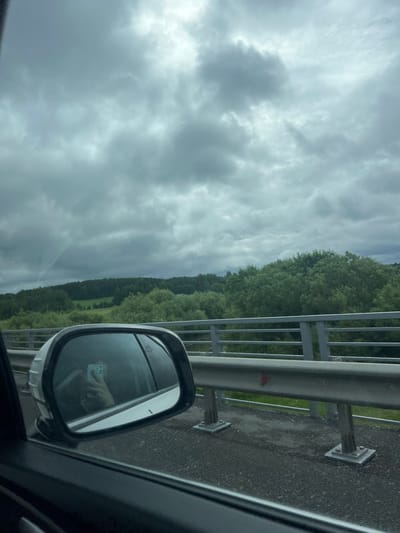 An overcast sky looms above a dense forest visible through the side window of a vehicle. A side mirror reflects a person's hand holding a smartphone, which is pointed towards the viewer, as if taking a selfie. The vehicle appears to be on a bridge, indicated by the guardrail running along the side of the road. The environment suggests a rural or suburban setting, possibly in Verkh-Sosnova, Russia, given the thick forest and the presence of a bridge.