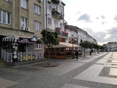 The image depicts a street scene in Drohobych, Ukraine, specifically on Taras Shevchenko Street. The view is from the side of a building on the left, looking down a pedestrianized area. The building on the left features a store with a striped awning and a neon sign with Disney characters and Ukrainian text, likely a children's store. In front of the store is a decorative white fence. Further down the street, there are more buildings with balconies and windows, and trees line the pedestrian walkway. The ground is paved with stone tiles in a geometric pattern. A single man is walking away from the camera on the right side of the pedestrian area, carrying a plastic bag. The sky is overcast with clouds. The architecture suggests an older European city.