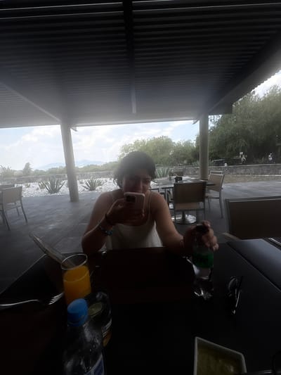 The image shows a woman sitting at a table in an outdoor restaurant. She is holding a cell phone and appears to be taking a selfie. The table has drinks, a bottle of water, and a dish on it. Outside the restaurant, there is a patio area with chairs and tables. Beyond the patio, there is a landscape featuring trees and possibly agave plants. The location is likely near Pueblo Nuevo de Jasso, Mexico, given the landscape and setting. The restaurant has a partially covered roof that is made of wooden slats.