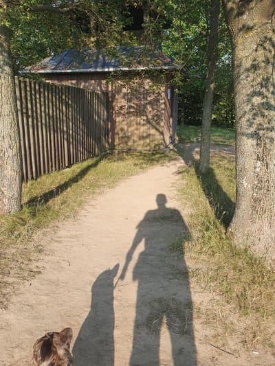 This is a rotated, eye-level, medium shot of a dirt path next to a wooden structure and trees. The path is a light brown color and appears to be well-trodden. To the left of the path is a wooden building with horizontal siding and a corrugated metal roof. A large tree trunk is in the foreground to the left, with its bark textured and weathered. Another tree trunk is visible in the background, with dappled sunlight filtering through its leaves.
The shadows of two people are cast on the path, suggesting they are walking or standing on the path. One shadow appears to be holding something, possibly a stick. A dog's head is visible in the lower right corner of the frame, looking away from the camera. The scene is outdoors, with grassy areas bordering the path and the building. The lighting suggests it is daytime, likely late afternoon due to the long shadows. The overall atmosphere is casual and relaxed, indicative of an outdoor stroll. The presence of the wooden structure and surrounding nature suggests a rural or semi-rural setting. The location context is Halych, Ukraine, which aligns with the natural landscape depicted. No visible text is present in the image.