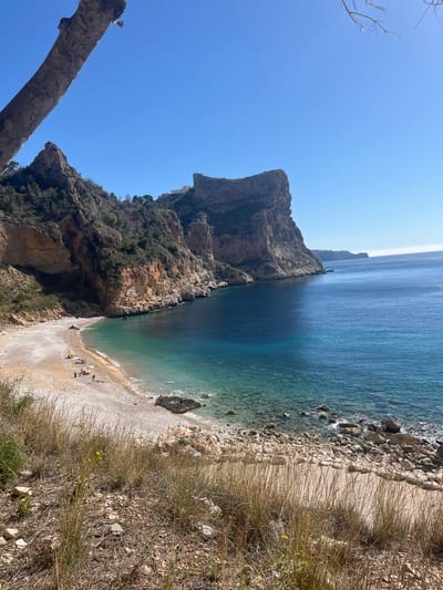 This is an aerial view of Cala del Moraig beach, located in the city of el Poble Nou de Benitatxell / Benitachell, Spain. A tall, rocky cliff borders the left side of the beach, with vegetation clinging to its slopes. The clear, turquoise water meets the pebble beach. Several people are present on the beach, some sunbathing and others interacting near the shoreline. Dry, yellow grasses are visible in the foreground, suggesting a Mediterranean environment. A bare tree branch appears in the lower left corner of the image. The sky is clear and blue, indicating a sunny day.