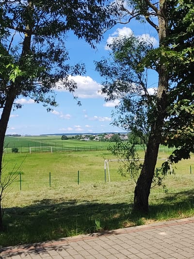 An outdoor shot captures a sunny day in Квасоўскі сельскі Савет, Belarus. Two trees with dark bark and green foliage frame the view of a grassy field with a soccer goal. The field is bordered by a green fence, and further in the distance, several houses with red roofs are visible amidst more green fields. The sky above is a bright blue, dotted with white clouds. In the foreground, a paved walkway made of gray brick is visible, with some shadows cast on it from the trees. The overall scene depicts a rural or suburban area on a clear day.