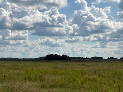 The image depicts a wide, open field of green grass and wildflowers under a vast sky filled with dramatic, white and gray cumulus clouds. In the distance, a line of dark green trees forms a horizontal band across the landscape, with a small, dense cluster of trees forming a darker mass in the center. The field appears rural and natural, with no visible human structures or activity, suggesting a natural or agricultural setting outside of a developed urban area. The sky dominates the upper half of the frame, with the clouds casting shadows and creating texture. The overall impression is one of a serene, natural landscape on a partly cloudy day.