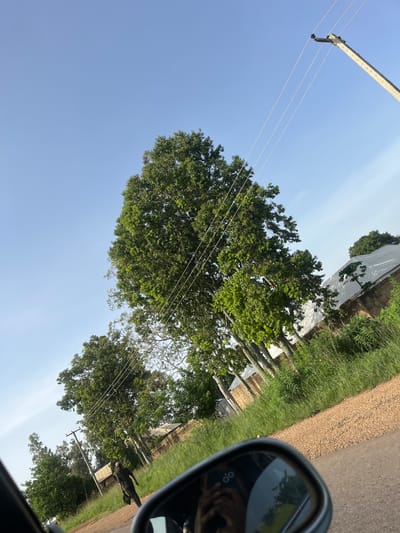 The image depicts a roadside scene in Ladura Foron, Nigeria, captured from the perspective of a vehicle's side mirror. The sky is a clear, pale blue, with a few wispy clouds. A tall, concrete utility pole with three horizontal wires is visible in the upper right portion of the frame, angled slightly to the left. Numerous lush green trees with dense foliage dominate the midground and background, some appearing tall and mature, others more slender and youthful. A single individual, dressed in dark clothing, walks along the gravel shoulder of a paved road in the mid-left of the image, carrying a dark bag. In the background, several buildings with corrugated metal roofs and brick walls are partially visible amidst the vegetation. The road itself is a dark asphalt surface, with a rough gravel shoulder to the right. The side mirror in the foreground reflects a portion of the vehicle's interior and the photographer's hand holding a smartphone. The overall impression is one of a rural or semi-urban environment bathed in natural light, likely during the daytime.