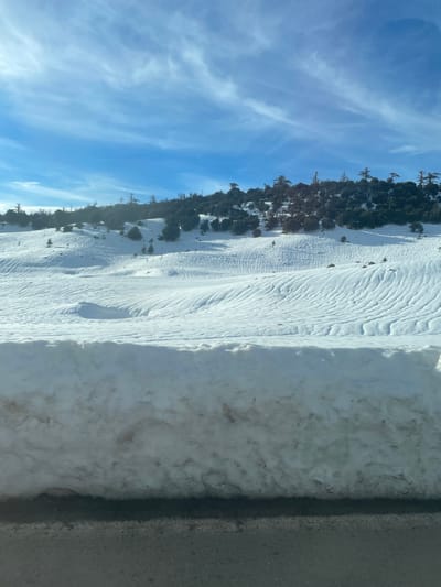 The image displays a snow-covered mountain landscape in Had Oued Ifrane, Morocco. The foreground features a dark gray asphalt road surface at the bottom, bordered immediately by a thick, vertical snowbank that occupies approximately one-third of the lower image. This snowbank is predominantly white with horizontal layers of slight brownish-gray discoloration near its base. Beyond the snowbank, rolling terrain is entirely covered in white snow, patterned with numerous parallel, undulating ridges and furrows across its surface. Scattered small, dark green coniferous trees are sparsely distributed throughout these snowfields. The background consists of higher hills densely covered by a mix of dark green coniferous trees and taller, bare deciduous trees. The sky is clear blue with wispy white cirrus clouds. The scene is illuminated by natural sunlight, casting subtle shadows. No individuals, vehicles, or active interactions are depicted.