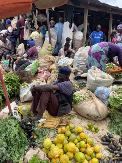 This image depicts a bustling market scene in Bisichi, Nigeria. The foreground is dominated by piles of fresh produce, including bundles of leafy greens, a mound of dark purple eggplants, and a scattering of yellow and green citrus fruits, possibly lemons. Several large sacks, likely containing grains or other goods, are also prominent.
The scene is populated by numerous individuals, mostly men, some of whom are engaged in weighing or bagging produce, while others appear to be customers or vendors. They are dressed in everyday clothing, with some wearing traditional attire and head coverings, and others in more casual wear like t-shirts and trousers. A few individuals are wearing blue beanies. The market seems to be housed under a simple wooden structure, suggesting an open-air or semi-covered market.
The overall impression is one of active commerce and daily life. The lighting suggests it might be daytime, but the exact time is difficult to determine. There are no strong indicators of weather conditions, but the ground appears to be dirt or packed earth. One sack has the visible text "Optimum" on it, and another appears to have "UREA" printed, likely indicating fertilizer bags repurposed for market use. The atmosphere seems busy and communal.