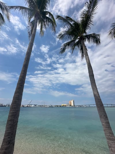 The image displays a coastal panorama in Riviera Beach, Florida, United States of America, captured on a clear day with a partly cloudy blue sky. Two prominent palm trees, with textured gray trunks and green fronds, frame the view, angling inward from the bottom-left and bottom-right. The foreground consists of shallow, transparent turquoise water, revealing a light-colored, pebbly or sandy bottom.
Beyond the immediate foreground, the water transitions to a deeper turquoise, stretching across the midground. A distant shoreline is visible across this expanse, featuring numerous docked boats, including recreational yachts and larger vessels, suggesting a marina or port. On the left side of the distant shore, industrial maritime structures, including several large cranes and buildings, are discernible.
In the background, a tall, multi-story building with distinct yellow-orange and white facades stands prominently on the landmass. To its right, a long, multi-span bridge with visible support piers extends horizontally across the water, connecting the distant shores. The sky above is a vibrant blue with scattered, fluffy white cumulus clouds. No people are present in the scene.