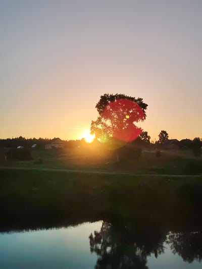The image depicts a tranquil sunset scene in Yalosar', Russia. The sky transitions from a pale blue at the top to a warm, golden orange near the horizon. A large tree, silhouetted against the setting sun, dominates the mid-ground, its branches illuminated by the bright light. Several houses, typical of a rural Russian village, are scattered across a gentle slope behind the tree. A faint white contrail stretches horizontally across the sky. In the foreground, a body of water reflects the sky and the silhouettes of trees and buildings, creating a mirror image of the upper portion of the scene. The overall atmosphere is serene and peaceful.
