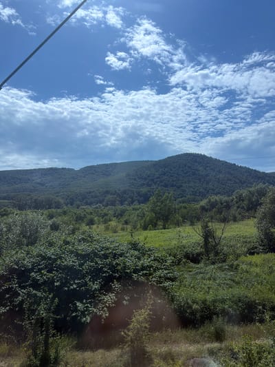 A photograph captures a rural landscape beneath a bright blue sky dotted with fluffy white clouds. In the foreground, dense green foliage dominates the lower half of the frame. Behind this, a grassy field stretches out, interspersed with scattered trees and bushes. The mid-ground features a gentle slope covered in trees, leading to a larger, rounded mountain in the background, also densely forested. The scene appears to be a natural, undeveloped area. The image is oriented vertically. There are no people or man-made structures visible, except for a thin, dark diagonal line in the upper left quadrant, possibly a wire or cable. The image was taken in the vicinity of Vilkhovytsia, Ukraine.