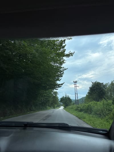 The image depicts a view from inside a vehicle, looking forward through the windshield. A paved road curves to the left and disappears over a slight incline. Lush green trees line the left side of the road, creating a dense forest canopy. On the right side of the road, there is also vegetation, including grass and trees, and a tall, red metal electrical pylon is visible. Power lines stretch across the sky from the pylon. The sky is cloudy with patches of blue. The dashboard of the vehicle is visible in the foreground. The scene appears to be a rural or semi-rural area, possibly in or near Terziysko, Bulgaria, given the context.