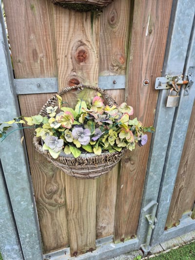 The image depicts a weathered wooden gate with a metal locking mechanism and a hanging basket filled with artificial flowers. The gate is constructed from vertical wooden planks, some showing signs of age and moss growth. A metal strap is bolted across the planks, securing them. A rusted padlock is attached to a latch on the right side of the gate. To the left of the wooden gate, a section of a corrugated metal structure is visible, likely part of the gate or an adjacent structure. The hanging basket is woven from natural fibers and contains a variety of artificial flowers and foliage in shades of yellow, pink, and purple. The basket is suspended from the gate by what appears to be wire. The ground beneath the gate is partially covered with grass and paving stones. The overall scene suggests an outdoor setting, likely a garden or yard, and the presence of the padlock indicates security measures. The image is taken from a slightly elevated angle, looking down at the gate and basket.