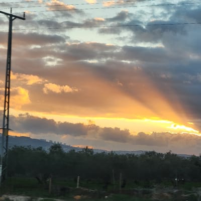 The image depicts a rural-urban landscape within the Galil Tachton Regional Council, Israel, at either sunrise or sunset. The sky dominates the upper two-thirds of the frame, characterized by a dramatic display of sunlight breaking through clouds. Crepuscular rays, fanning out from a bright golden-yellow source on the right horizon, illuminate the undersides of dark grey and orange-hued stratocumulus clouds. Patches of light blue sky are visible in the upper left. A tall, dark metal utility pole stands vertically on the far left, extending from the bottom edge and supporting multiple horizontal overhead wires that stretch across the upper left sky. In the midground, a dense line of dark green trees, consistent with an orchard or natural grove, spans horizontally across the lower portion of the image. Below the trees, the ground appears as an uneven, dark earth surface with indistinct features, including faint vertical elements resembling fence posts. In the background, beyond the tree line, a series of dark hills or low mountains are visible, with a cluster of distant, lighter-colored multi-story buildings silhouetted on their slopes, indicating an urban settlement. No people or animals are explicitly discernible.
