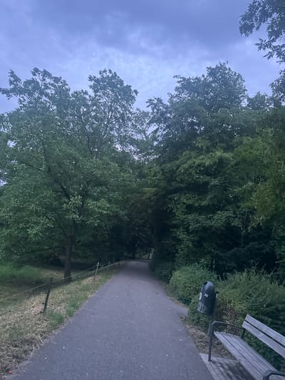 The image depicts a paved pathway winding through a park on an overcast day. Lush green trees line both sides of the pathway, with dense foliage obscuring the sky in places. To the right of the path, a black trash receptacle with stickers is positioned next to a wooden bench. A wire fence with posts runs along the left side of the path, separating it from a grassy area. The overall atmosphere is serene and natural. The scene is likely located in the Monrepos Palace Park in Ludwigsburg, Germany, known for its extensive gardens and walking paths.