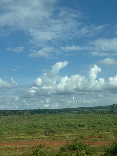 A wide-angle shot captures a rural landscape dominated by a vast, green field under a bright blue sky filled with puffy white clouds. In the distance, a row of white wind turbines stands tall against the horizon. The field is textured with varying shades of green, suggesting different types of vegetation or cultivation. A dirt path cuts through the lower foreground, separating a patch of dark green bushes from the main field. A small pile of debris, possibly wood or brush, is visible in the middle ground of the field. The scene is tranquil and appears to be an open, undeveloped area. The image does not provide any specific visual cues to determine its exact location within An Phu Ward, Vietnam, or to identify any individuals or specific actions taking place.