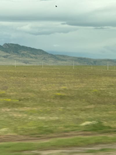The image, originally rotated, presents a broad, expansive landscape under a cloudy sky. In the upper portion, a light grey and white overcast sky fills the frame, with a small, dark bird visible in flight in the upper left corner. Below the sky, a long range of rolling mountains or hills spans the middle ground, appearing rugged and covered with sparse, muted green vegetation.

A series of slender, light-colored utility poles runs horizontally along the base of these mountains, extending into the hazy distance and providing a sense of scale. The foreground and much of the right side of the image are dominated by a vast expanse of green and yellowish-green grassland or fields. Noticeable motion blur, particularly prominent in the foreground grass, indicates that the photograph was captured from a moving perspective, likely from a vehicle.

The time of day appears to be daytime, characterized by soft, diffused light consistent with overcast weather. The colors are predominantly natural and subdued, reflecting the natural landscape. No discernible text is visible within the image. The scene conveys a sense of a serene and open rural environment, fitting the provided context of Korkmaskala, Russia.