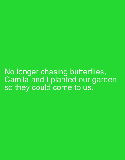 The image contains white text on a bright green background. The text reads: "No longer chasing butterflies, Camila and I planted our garden so they could come to us." There are no discernible elements within the image that could be used to determine its location in Рудзенскі сельскі Савет, Belarus, or any other specific geographical area. The image is a text overlay on a solid color background.