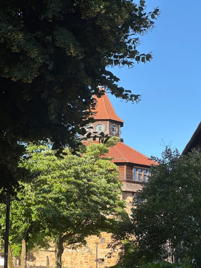 The image shows a section of the Esslingen Castle, specifically the Stammturm, with trees in the foreground. The Stammturm, a historical landmark in Esslingen am Neckar, Germany, features a red tile roof and stone construction. A prominent round window is visible on the tower. The surrounding environment is lush with green trees, some of which are in full bloom, with their leaves casting shadows on the scene. The sky is a clear, bright blue. The lighting suggests it is a sunny day, likely in the late morning or early afternoon. The perspective is from ground level, looking up towards the tower and through the foliage. There are no people or animals visible in the frame. The image captures a serene, natural setting juxtaposed with the ancient architecture.