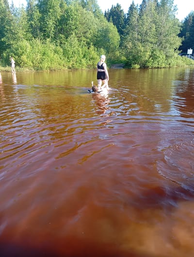 The image depicts a shallow, murky brown body of water with ripples. In the water, a person wearing a black bikini top and black shorts stands facing away from the camera, partially submerged. Another person, lying face down on what appears to be a floating device, is being pulled through the water by the standing person. A third person, wearing a white bathing suit, walks on the shore in the background to the left. Dense green foliage lines the shore, with a clear sky overhead. The scene suggests a recreational activity taking place in a natural body of water, possibly a lake or river, in a wooded area. This location is identified as Sud'bitsy, Russia.