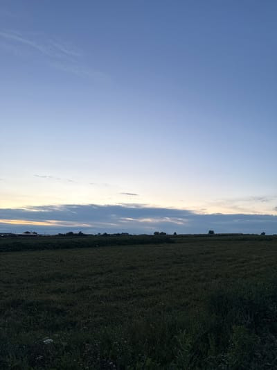 A wide shot captures a rural landscape under a twilight sky in Imelevo, Russia. The foreground is dominated by a dark, dense field of grass, with some small white and pink flowers visible near the bottom. A line of trees and a few buildings are silhouetted against the horizon in the middle ground, suggesting a small settlement or farmsteads. The sky above is a gradient of soft blues, transitioning from a pale, almost white hue near the horizon to a deeper blue higher up. A thin band of clouds stretches across the sky, tinged with the colors of sunset or sunrise. The overall scene evokes a sense of calm and quiet evening in a rural setting.