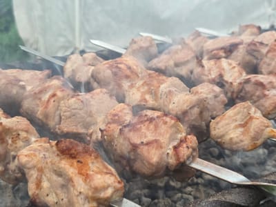 This media file shows a close-up view of raw meat skewers cooking over charcoal. The meat appears to be pork, cut into cubes and threaded onto metal skewers. The skewers are arranged in rows on a grill, with smoke rising from the hot coals below. The background is blurred, but suggests an outdoor setting with some greenery and a white tarp or shelter. The lighting is soft and diffused, possibly indicating it is daytime, but the specific time is not clear. The overall mood is one of outdoor cooking and food preparation. There is no visible text in the image. The context provided indicates the location is Frolovo, Russia, suggesting this is a scene of traditional Russian shashlik preparation.