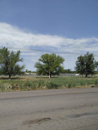 The image shows a rural landscape in the city of Qazaqstan, Kazakhstan. In the foreground, there is a paved road with visible potholes and a blurred texture, suggesting movement. Beyond the road, a field of dry grass and green vegetation stretches out. Three mature trees with full green canopies are spaced across the middle ground. Power lines are visible suspended between poles, passing behind the trees. In the background, a low, light-colored fence or barrier runs horizontally, behind which there are some buildings and a line of distant trees. The sky is blue with scattered white clouds. The overall scene depicts a sunny day in a somewhat arid, open environment.