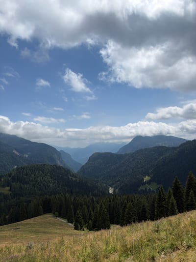 The image shows a panoramic view of a mountainous landscape, likely in the region of Ampezzo/Dimpeç, Italy, given the lush green forests and dramatic peaks. In the foreground, a grassy meadow slopes downwards, dotted with wildflowers and dried grasses, with a narrow, winding road visible in the mid-ground cutting through a dense evergreen forest. The forest covers the lower slopes of the mountains, which rise in successive layers, fading into a hazy blue in the distance. The sky is partly cloudy, with large, white cumulus clouds casting shadows over some of the mountain ranges. The overall impression is one of natural beauty and rugged terrain, typical of the Italian Alps. There are no people or man-made structures visible other than the road.