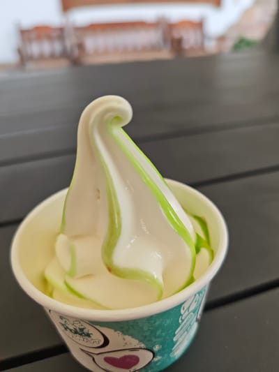 A close-up, eye-level shot shows a white soft-serve ice cream with green swirls in a teal and white paper cup. The cup has cartoonish illustrations of animals and a pink heart. The ice cream is in a white paper cup with a teal and white pattern on the outside. The ice cream is a soft-serve swirl of white with thin green stripes. The background is blurred, showing a dark wooden table and in the far distance, out-of-focus wooden benches and an outdoor setting. The image appears to be taken in Wiesenegg, Austria, at a location that offers outdoor seating, possibly a cafe or restaurant.
