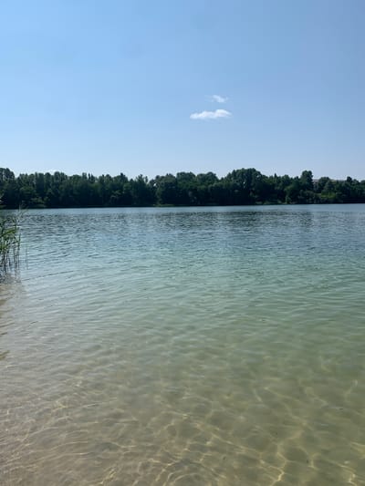 The image depicts a tranquil body of water, likely a lake or a wide river, with a tree-lined shore in the background. The water is clear, allowing the sandy bottom to be visible in the foreground. Sunlight refracts through the water, creating shimmering patterns on the surface. A few reeds or tall grasses are visible on the left edge of the frame, partially submerged in the water. The sky above is a clear, pale blue with a single, small white cloud. The overall impression is one of a peaceful natural landscape, possibly located in or near the city of Horenka, Ukraine, given the context. There are no people or visible structures other than the distant treeline and the hint of some buildings behind the trees. The scene is static and serene, capturing a moment of natural beauty on a sunny day.