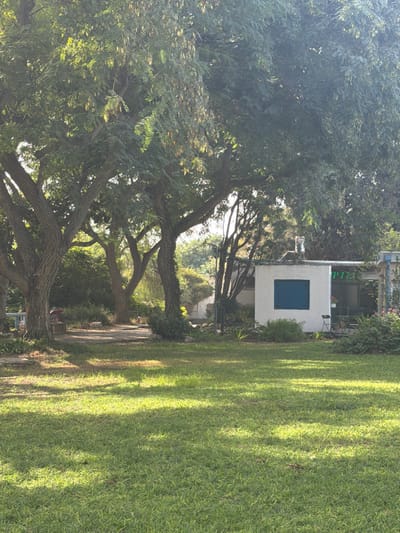 The image depicts an outdoor scene within the Sdot Negev Regional Council, Israel, characterized by lush greenery and a building. In the foreground, a well-maintained green lawn occupies the lower half of the frame, showing areas of sunlight and dappled shade. The midground is dominated by multiple mature trees with thick, gnarled trunks and dense green foliage, casting shadows. A light-colored path, possibly dirt or gravel, is visible beneath the trees on the left, with a small red object partially discernible nearby. In the background, to the right, stands a single-story white building with a flat roof. It features a prominent dark blue window shutter on its left side. To the right of the shutter, an outdoor seating area is visible with two dark chairs and a small table. Above this area, a sign with partially visible Hebrew text, "פנאי" (Pnai), is present. A metallic chimney or vent pipe extends from the building's roof. Additional trees and shrubs are visible behind and around the building, contributing to the verdant environment. No individuals are present in the scene. The lighting suggests a bright, sunny day.