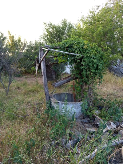 This is a vertical, eye-level, medium shot of an overgrown, rustic scene in Mereneshty, Moldova. The primary subjects are the dense green foliage and vegetation that dominate the frame, intertwined with weathered wooden structures and a concrete object. In the background, a dilapidated wooden building with a corrugated roof is visible, partially obscured by vines and branches. A large, cylindrical concrete structure, possibly an old well or water tank, stands to the right, also overtaken by plants. A wooden beam, part of an improvised structure, runs horizontally across the mid-ground, with a bent metal pipe hanging from it. A dirt path is visible in the lower portion of the image, leading into the vegetation. The overall impression is one of abandonment and nature reclaiming man-made elements. The lighting suggests it is late afternoon or early evening, with the sun casting warm, golden hues on the foliage. The weather appears to be clear. There are no people or animals visible. There is no discernible text in the image.