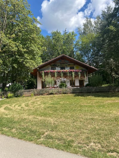 The image depicts a charming Bavarian-style house located in Reisbach, Germany. The house is painted a light color with decorative murals on its facade, featuring a sun and figures. A prominent feature is the balcony adorned with an abundance of pink and red flowers. A wooden picket fence encloses the property, separating it from a grassy yard. The yard shows signs of dryness in some areas, suggesting a sunny climate. Tall green trees surround the house, providing a lush backdrop. The sky above is a bright blue with scattered white clouds. A paved path is visible in the lower left corner of the image. The scene appears to be a serene, picturesque residential setting in a rural or semi-rural area of Reisbach.