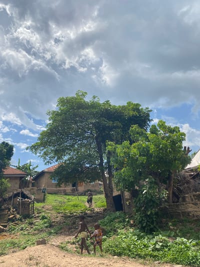 The image shows a rural scene in Amaigbo, Nigeria. Two children are walking along a dirt path. One child wears yellow shorts, and the other has colorful print shorts. Another person is seen in the background. A large tree dominates the center of the frame, with a cloudy sky overhead. Buildings, some dilapidated, are visible in the background amidst the greenery. The environment is lush with vegetation.
