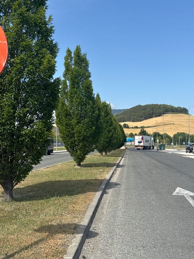 The image depicts a rural roadside scene under a clear, bright blue sky in Valle de Elorz / Elortzibar, Spain, on a sunny day. In the extreme foreground on the left, a portion of a large, circular red sign is visible. Adjacent to it, a mature tree with dense, dark green foliage stands, casting a long shadow across a section of dry, browning grass intermixed with greener patches. A grey concrete curb separates this grassy median from a dark asphalt road, flecked with lighter aggregate.

The asphalt road, marked with a white directional arrow pointing diagonally forward and to the right in the lower-right quadrant, extends into the distance. Along the left side of the road, a uniform row of slender, columnar evergreen trees is planted, also casting shadows. A white semi-trailer truck, displaying a red and black "JIMCA" logo on its side, drives away from the viewer in the middle of the road. Further down the road, to the left of the truck, a blue structure is partially visible. On the right side of the road, a green waste container is situated, and a dark-colored vehicle is partially visible closer to the foreground. Multiple grey streetlights with overhead fixtures are spaced along the right side of the road, receding into the background.

The background features undulating hills beneath the cloudless sky. These hills are segmented into areas of golden-yellow cultivated fields, exhibiting distinct contours, and patches of dense, dark green forestation. No people are visible in the image.