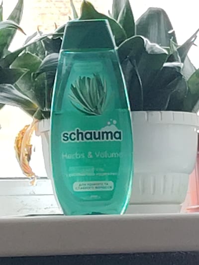 A green shampoo bottle labeled "Schauma Herbs & Volume" stands on a windowsill, partially obscured by a potted plant with spiky green leaves. The bottle is translucent, revealing the green liquid inside. The windowsill is white and appears to be dusty. The background is blurry and out of focus, suggesting indoor lighting or a bright outdoor scene. The image does not contain any specific details that would allow for determination of its location in Okhtyrka, Ukraine.