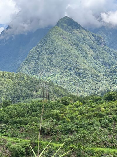 This image shows a lush, green mountainside in Bình Lư, Vietnam, with a dominant, mist-shrouded peak in the background. The foreground is filled with dense vegetation, including trees, bushes, and tall grasses. Power lines and poles are visible crossing the mid-ground, suggesting human presence and infrastructure in the otherwise natural landscape. The sky is partly cloudy, with heavy white clouds obscuring the upper portions of the mountains. The overall impression is one of a remote, natural environment with hints of human activity.