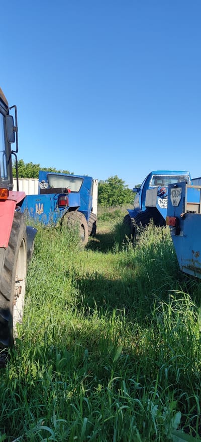 The image, correctly oriented, depicts a sunny outdoor scene in a rural or agricultural area, likely in Bezpalivka, Ukraine. Three large vehicles are parked amidst tall green grass.
In the foreground, on the left, part of a red tractor or similar agricultural machinery is visible, showing its cab, a red fender, and a large black tire.
To the right of the red tractor, in the mid-ground, is a blue truck or specialized vehicle. Its cab and a large rear tire are prominent. On its side, below the window, is a yellow Ukrainian Trident symbol painted on a blue background. A license plate is partially visible, showing "34857 MH".
Further back, on the right side of the image, another blue vehicle, similar in type to the one in the mid-ground, is parked. It also displays a license plate with text "13684 MH" and "1425 MH" stacked below it. This vehicle is partially obscured by the blue truck in the foreground and tall grass.
The ground is covered in dense, tall green grass, creating an uneven texture. In the background, between the two blue vehicles, a line of green trees is visible. The sky above is clear and a bright, uniform blue, indicating a clear, sunny day, likely midday or early afternoon, given the sharp shadows cast by the grass. No people or specific activities are depicted; the vehicles appear to be stationary or stored.
