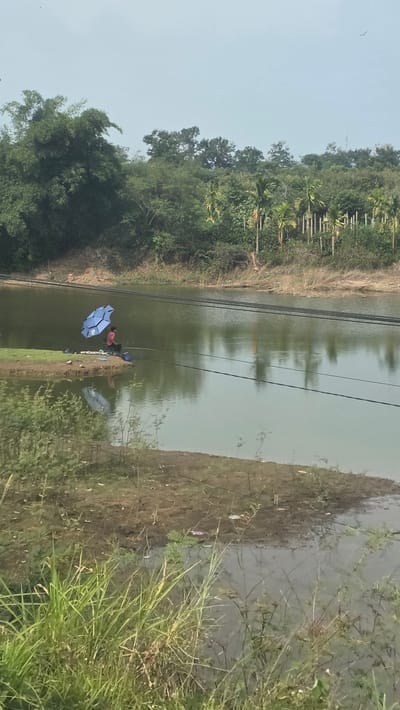 The image depicts a scene near a body of water, likely a pond or lake, in Xuân Long, Vietnam. Lush vegetation lines the banks, including trees and tall grasses. In the center of the image, near the water's edge, is an individual sitting under a blue umbrella. Electrical power lines are strung overhead, reflecting in the water. The sky is overcast, and the light is diffused. The water appears still and reflects the surrounding environment. The ground appears to be muddy and overgrown.