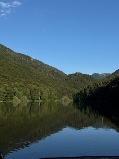This is a vertical, eye-level shot of a serene lake reflecting densely forested mountains under a clear blue sky. The water in the foreground is dark and calm, with subtle ripples and reflections. The shoreline is lined with a variety of trees, transitioning into steeper, heavily wooded slopes that dominate the left and center of the frame. The mountains are covered in a deep green forest, with some lighter patches indicating exposed rock or sparser vegetation. The sky is a bright, cloudless blue, with a few faint wisps of white clouds visible near the top left. In the distance, more mountains are visible, their peaks softened by the atmospheric haze and the dark shadows cast by the dense forest. The overall impression is one of natural tranquility and vastness. This scene is located in Sjerogošte, Montenegro.