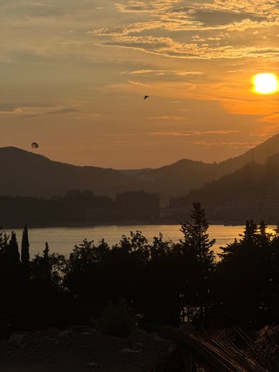The image depicts a sunset scene over a bay, likely in Vrijesno, Montenegro, given the context. The sky is dominated by warm orange and yellow hues, with scattered clouds creating texture. The sun, a bright orb, is positioned in the upper right corner. In the distance, silhouetted mountains form a layered backdrop. A body of water, possibly the bay, separates the mountains from the foreground.
In the sky, two distinct subjects are visible. A small, dark bird is in flight near the center-left. Further to the left and higher up, a paraglider is also in the air, its canopy visible against the sky.
The middle ground reveals a coastal town or settlement nestled at the base of the mountains, with buildings appearing as dark shapes against the lighter sky. Trees, predominantly dark and silhouetted, form a dense band across the lower part of the image, obscuring the ground level in places. Some of these trees are tall and slender, resembling cypress trees, while others are bushier. The foreground is dark and appears to be a rough terrain, with piles of what look like rebar or similar construction materials. The overall impression is a tranquil, natural landscape at dusk, with human presence indicated by the distant settlement and the recreational activity in the sky.