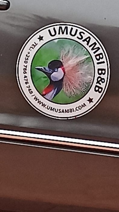 A circular sticker is affixed to a dark gray or black vehicle panel, likely a car door, visible in the upper center of the frame. A horizontal chrome trim line runs below the sticker. The sticker features a white outer ring with black text: "UMUSAMBI B&B" at the top, and "TEL: +250 786 478 748 / WWW.UMUSAMBI.COM" at the bottom. Two small black star symbols separate the text segments. The central part of the sticker displays a detailed illustration of a Grey Crowned Crane's head in profile, facing left, against a green background. The crane exhibits its distinctive black head, white cheek patch, red gular sac, and prominent golden-brown crest. No individuals are present in the image. The vehicle is located in Kigali City, Rwanda.
