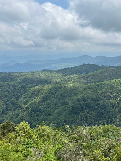 An aerial view captures a lush, mountainous landscape under a cloudy sky in Nam Hải, Vietnam. The image is dominated by rolling hills covered in dense, green vegetation, with multiple layers of mountains receding into the distance, fading to a hazy blue. In the foreground, a dense canopy of trees with varying shades of green and lighter foliage creates a vibrant layer. A few scattered power lines are visible traversing the mid-ground. The sky above is filled with soft, gray clouds with patches of blue peeking through. The scene depicts a natural, undeveloped environment.