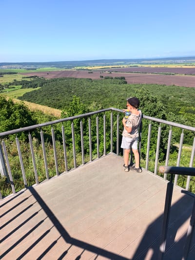 A boy stands on a wooden observation deck, his back to the camera, holding a bottle of water. He is wearing a black baseball cap, sunglasses, a t-shirt with a graphic print, and light-colored shorts. The observation deck overlooks a vast landscape of green forests and agricultural fields under a clear blue sky. The railing of the deck is made of gray metal bars. The sun casts long shadows from the railing onto the wooden planks of the deck. The location is the Akhmerovo observation deck in Akhmerovo, Russia.