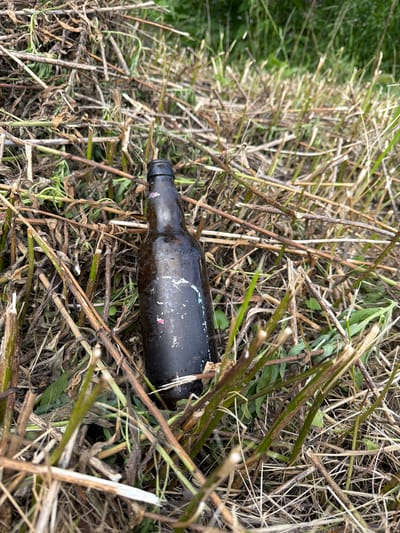 A dark brown glass bottle lies on its side amidst dry, tan-colored plant debris and some green foliage. The bottle appears dirty and weathered, with some faded pink and white marks on its surface. The surrounding environment suggests an outdoor, possibly rural or overgrown area, consistent with a location in Upeslejas, Latvia.